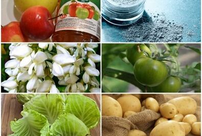 Popular remedies for the treatment of varicose veins